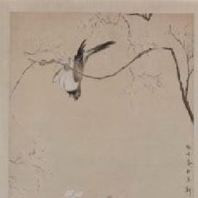 加勒比海带的头像