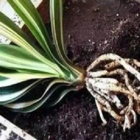 浅忆那瞬间的头像