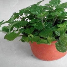 我已在途中的头像