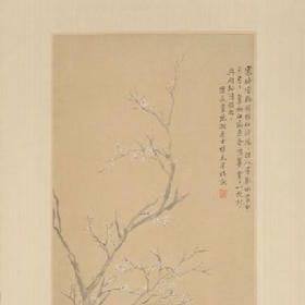 含笑紫罗兰的头像