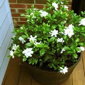 余生继续浪的头像