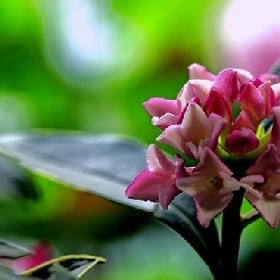 朗月清风的头像