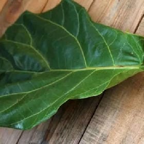 倾城腐女的头像