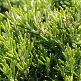 故事裏沒我的头像