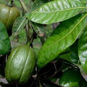 呮潙沵變乖的头像