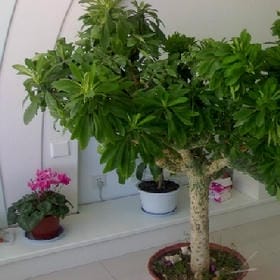 恰巧心动的头像