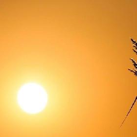 为君司南的头像