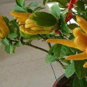 嘿别来打扰我的头像