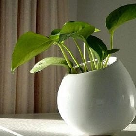 朦胧的青春的头像