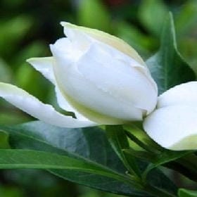 南北东西亦相的头像