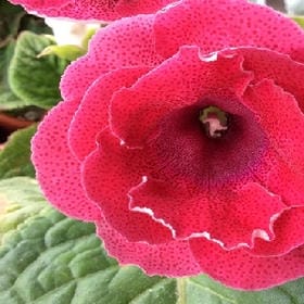 已成陌路的头像