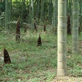 绘他颜的头像