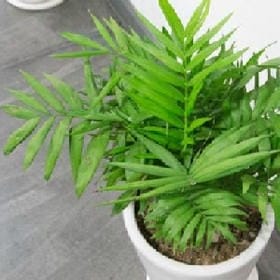 赢了天下输了她的头像