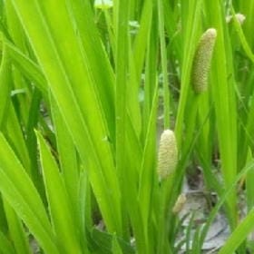 一纸愁肠的头像