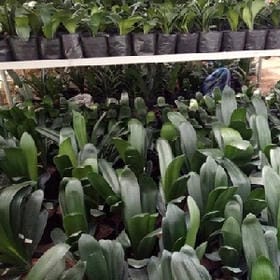 酷浪随性的头像
