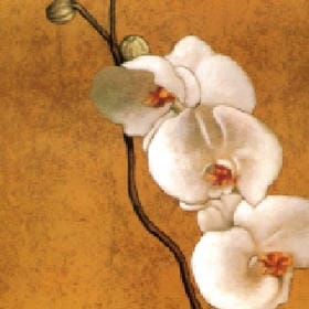 雨晴烟晚坠堇钗的头像